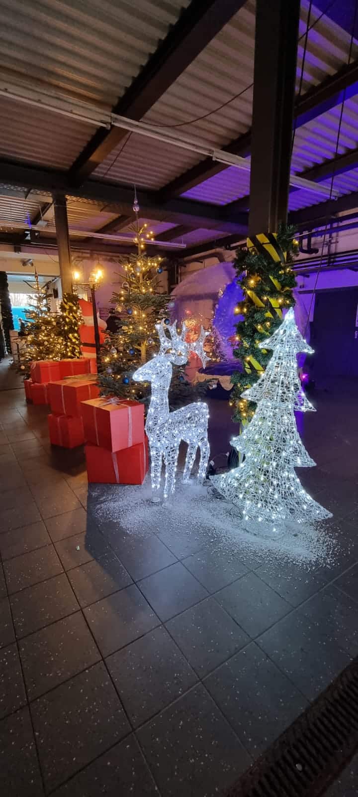 Winter Wonderland